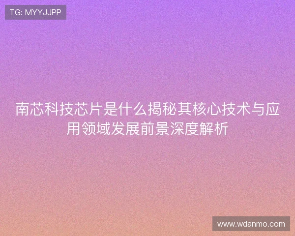南芯科技芯片是什么揭秘其核心技术与应用领域发展前景深度解析